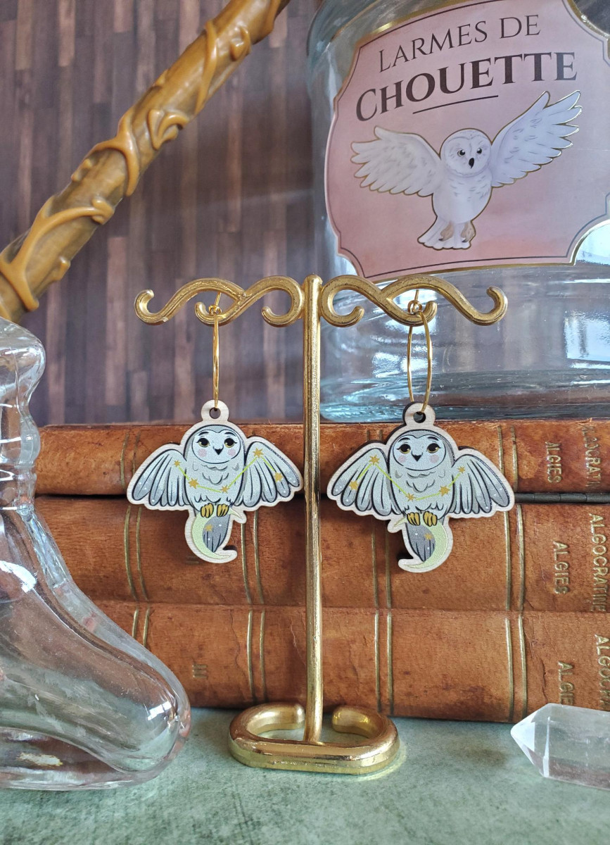 Boucles d'oreilles chouettes magiques